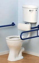 Low Level Disabled Toilet  